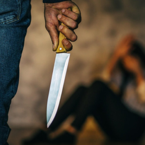 Senatul a adoptat legea cu sancţiuni mai dure pentru agresorii violenţei domestice