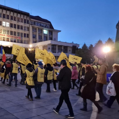 Vasluienii din România au protestat împotriva unui puci politic și pentru protejarea democrației.